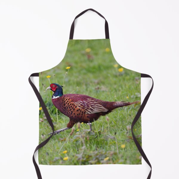 Item preview, A Welsh Pheasant, Gower designed and sold by TomRomanPhotos.
