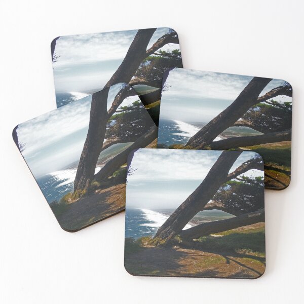 Item preview, Point Reyes designed and sold by Dead Parrot Technology.