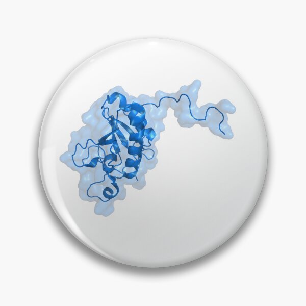 Item preview, Sonic Hedgehog Protein Structure designed and sold by Biochemlady.