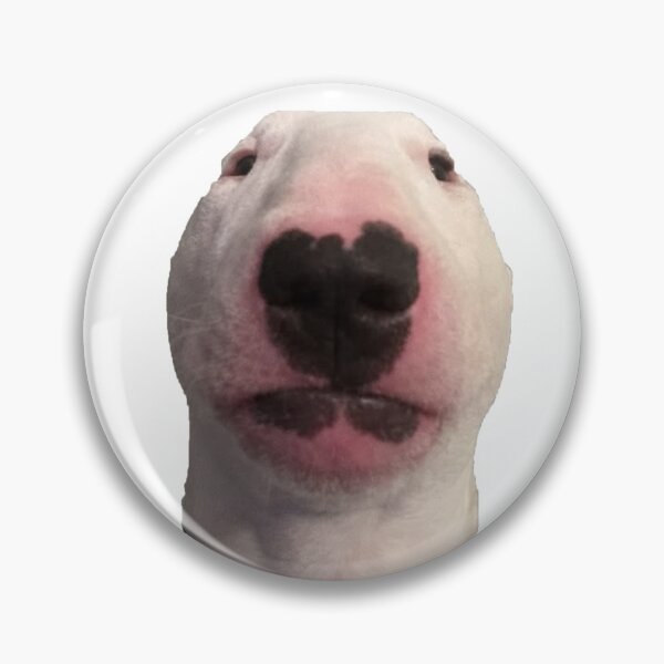 Item preview, Multiple funny bullterier dog stare stickers designed and sold by Kajzu.