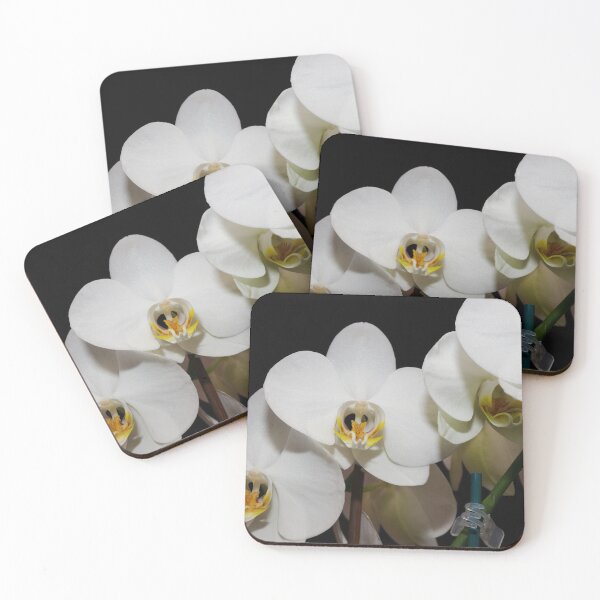 Item preview, White Phalaenopsis Orchid  Against A Solid Black Background designed and sold by Pierre de la Mare.