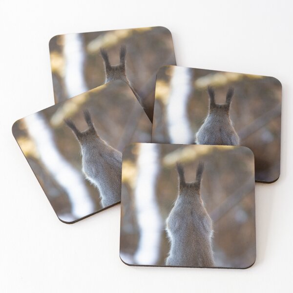 Item preview, Cute Squirrel from Behind with Tufted Ears designed and sold by NorthWild.