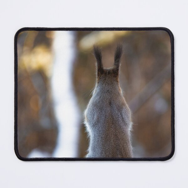 Item preview, Cute Squirrel from Behind with Tufted Ears designed and sold by NorthWild.