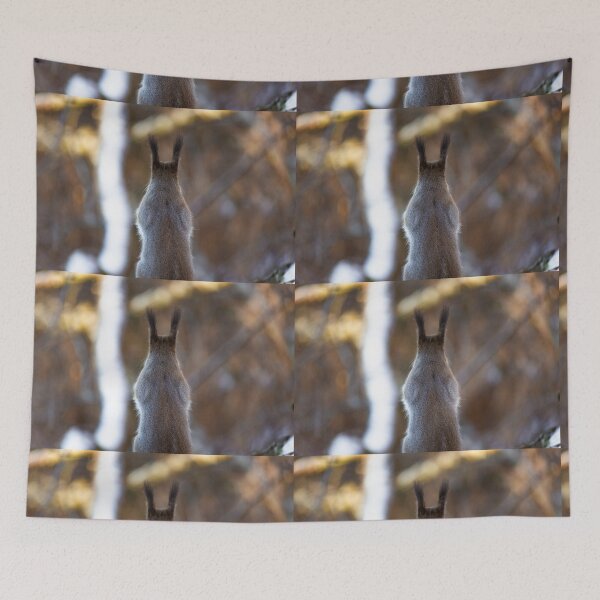 Item preview, Cute Squirrel from Behind with Tufted Ears designed and sold by NorthWild.
