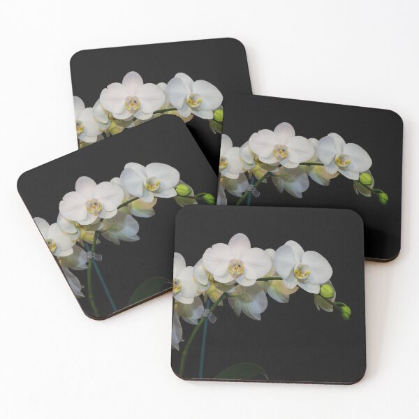 Item preview, A White Phalaenopsis Orchid Blooms on a Dark Background designed and sold by Pierre de la Mare.