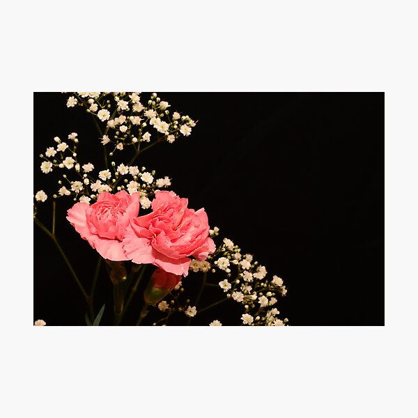 Item preview, Pink Carnations Paired with Delicate White Baby’s Breath designed and sold by Pierre de la Mare.