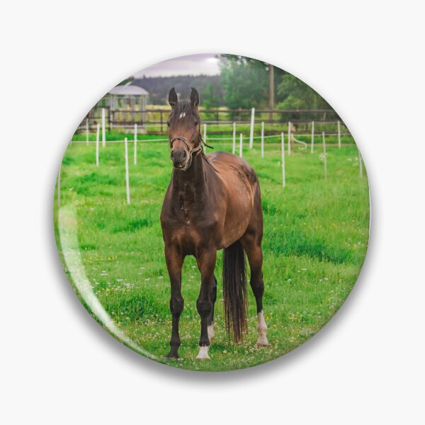 Item preview, Beautiful Bay Horse Standing in Green Summer Pasture  designed and sold by NorthWild.