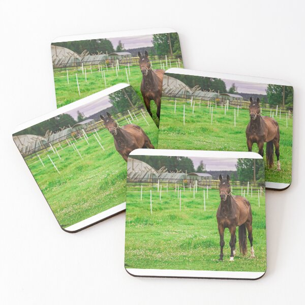 Item preview, Beautiful Bay Horse Standing in Green Summer Pasture  designed and sold by NorthWild.