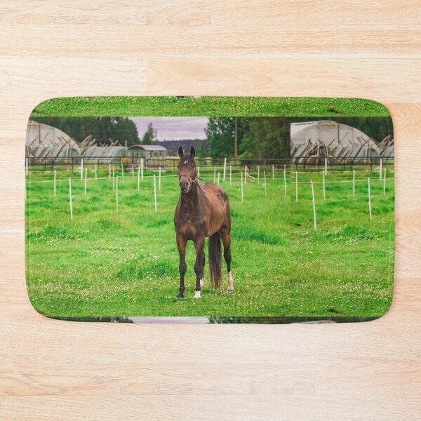 Item preview, Beautiful Bay Horse Standing in Green Summer Pasture  designed and sold by NorthWild.