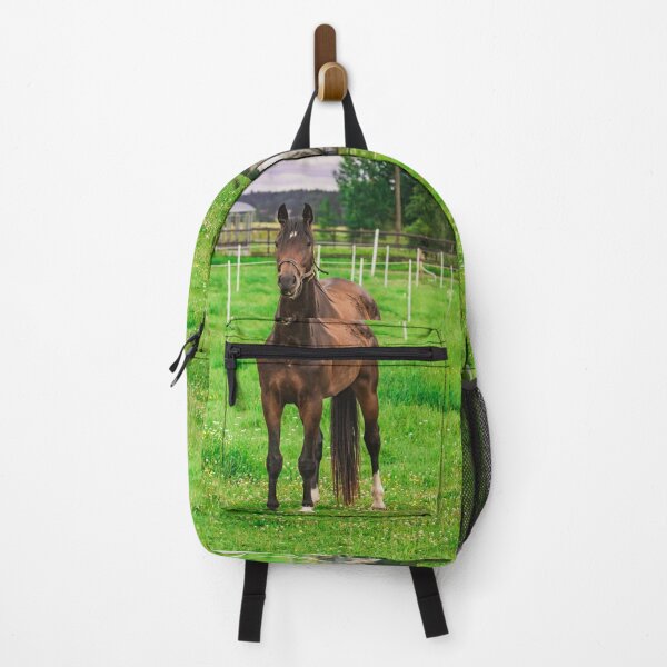 Item preview, Beautiful Bay Horse Standing in Green Summer Pasture  designed and sold by NorthWild.