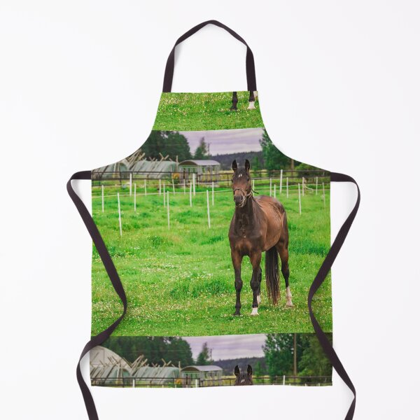 Item preview, Beautiful Bay Horse Standing in Green Summer Pasture designed and sold by NorthWild.