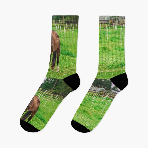 Item preview, Beautiful Bay Horse Standing in Green Summer Pasture  designed and sold by NorthWild.