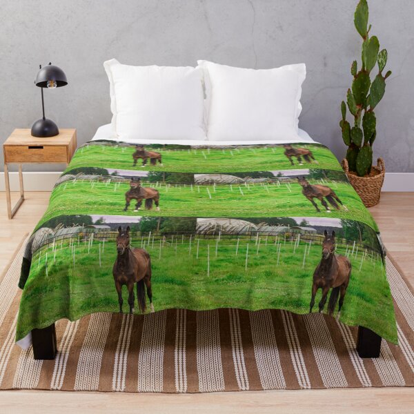 Item preview, Beautiful Bay Horse Standing in Green Summer Pasture designed and sold by NorthWild.