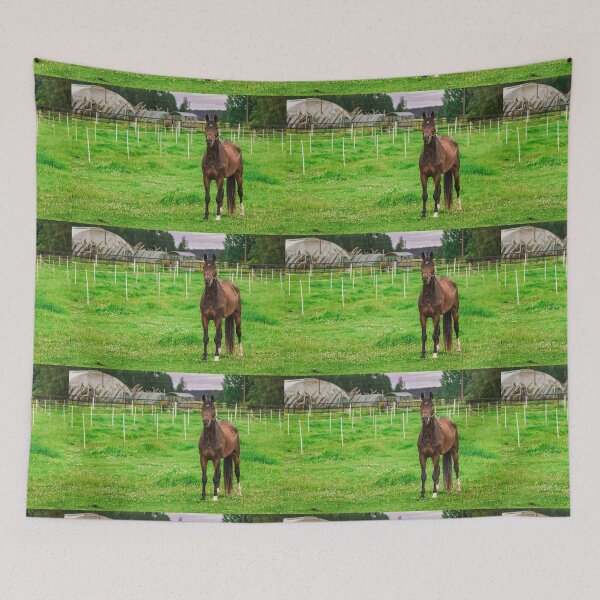 Item preview, Beautiful Bay Horse Standing in Green Summer Pasture  designed and sold by NorthWild.