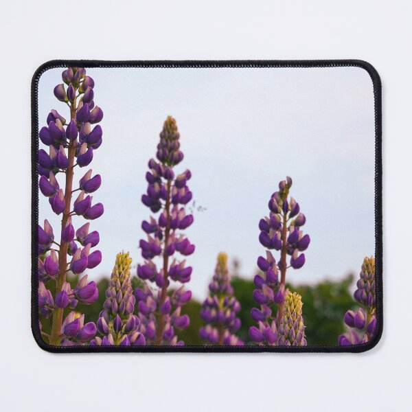 Item preview, Summer Lupins in Golden Hour designed and sold by vbrassington.