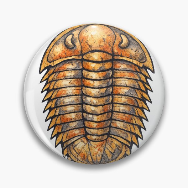 Item preview, Trilobite Fossil Prehistoric Sea Arthropod Specimen designed and sold by eignvalue.