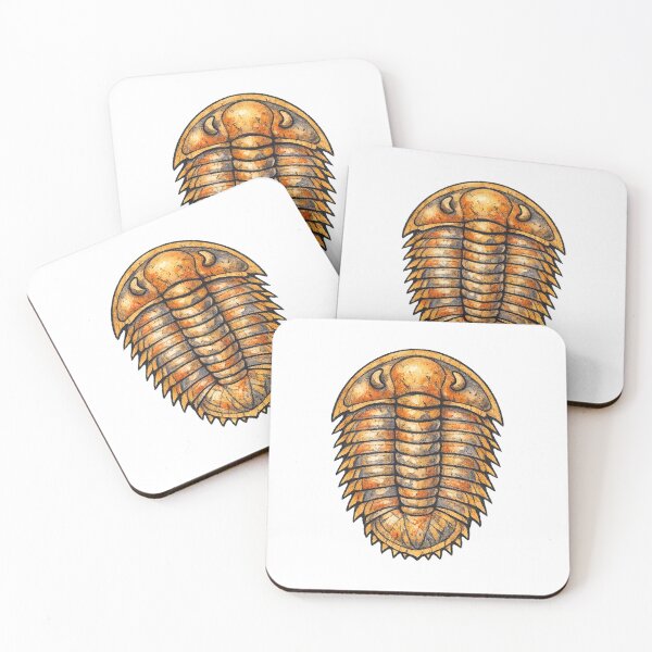 Item preview, Trilobite Fossil Prehistoric Sea Arthropod Specimen designed and sold by eignvalue.