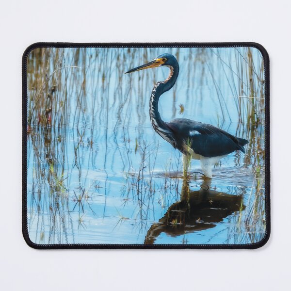 Item preview, Tricolored Heron designed and sold by Kay Brewer.