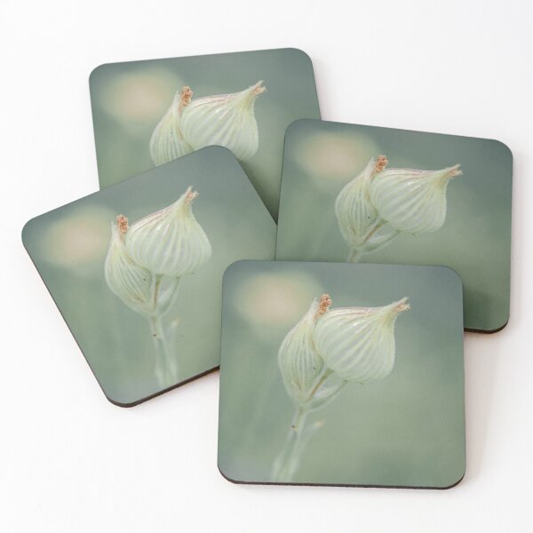 Item preview, Petal Mastro's Steakhouse Harmony Creates Balance designed and sold by Giuliaclimb.