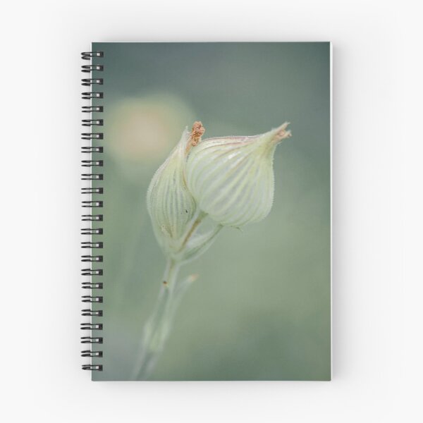 Item preview, Petal Mastro's Steakhouse Harmony Creates Balance designed and sold by Giuliaclimb.
