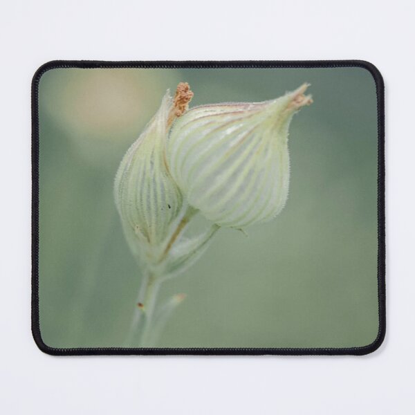 Item preview, Petal Mastro's Steakhouse Harmony Creates Balance designed and sold by Giuliaclimb.