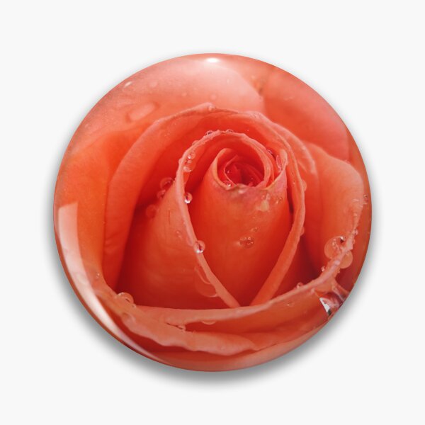 Item preview, Vivid Pink Orange Rose Rosa Catching Raindrops After Summer Rain designed and sold by vtspatial.