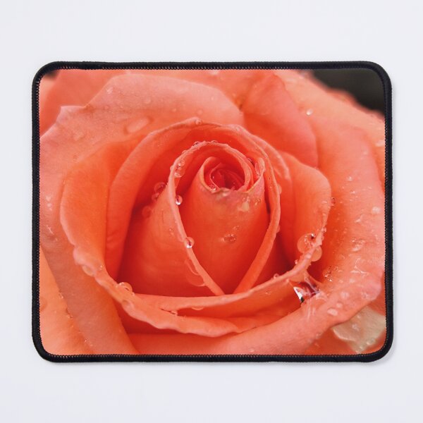 Item preview, Vivid Pink Orange Rose Rosa Catching Raindrops After Summer Rain designed and sold by vtspatial.