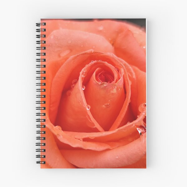 Item preview, Vivid Pink Orange Rose Rosa Catching Raindrops After Summer Rain designed and sold by vtspatial.