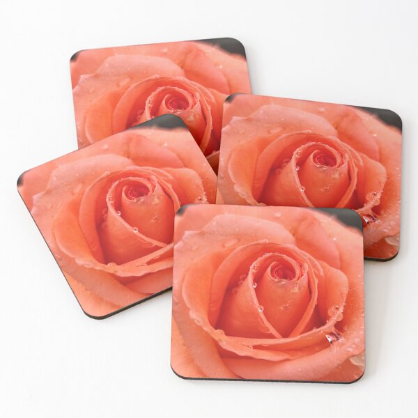 Item preview, Vivid Pink Orange Rose Rosa Catching Raindrops After Summer Rain designed and sold by vtspatial.