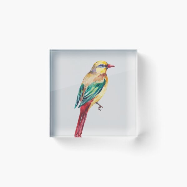 Item preview, A watercolor painting of a colorful bird with a yellow head, green wings, and a red tail  designed and sold by 123ks.