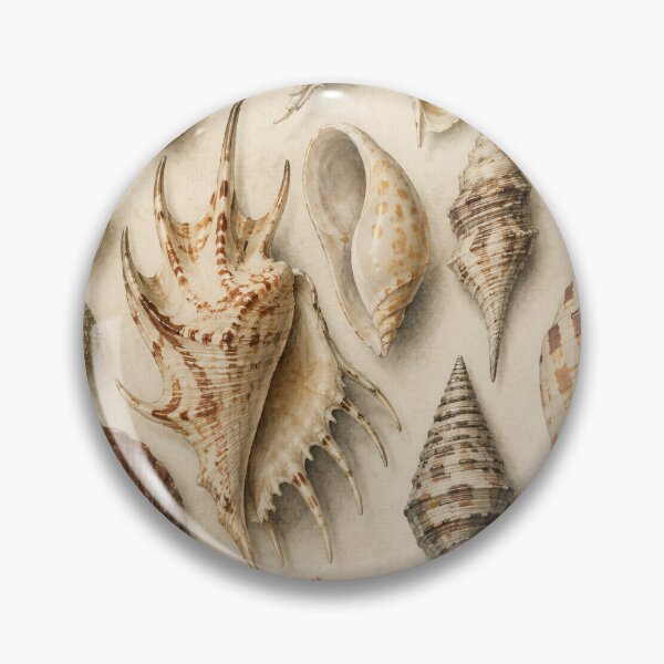 Item preview, Vintage Seashell Cabinet of Curiosities Print | Coastal Naturalist Wall Art | Antique Shell Illustration designed and sold by SoftSpaceDesign.