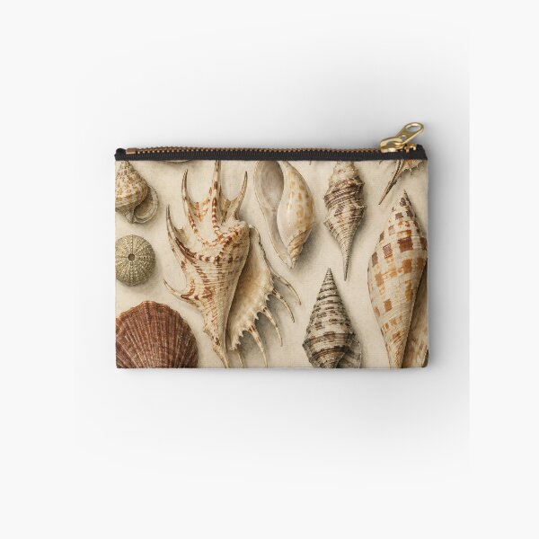 Item preview, Vintage Seashell Cabinet of Curiosities Print | Coastal Naturalist Wall Art | Antique Shell Illustration designed and sold by SoftSpaceDesign.