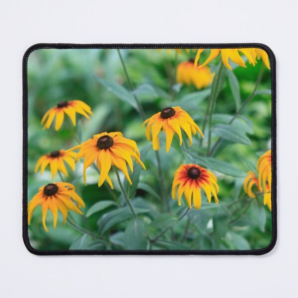 Item preview, Yellow flowers in summer garden designed and sold by olena2552.