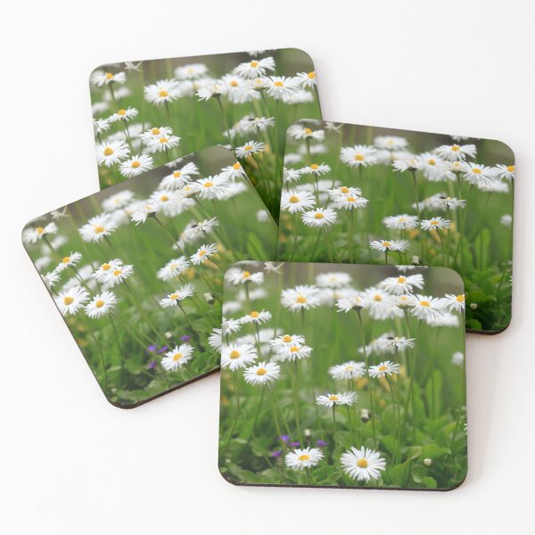 Item preview, White chamomiles in summer garden designed and sold by olena2552.