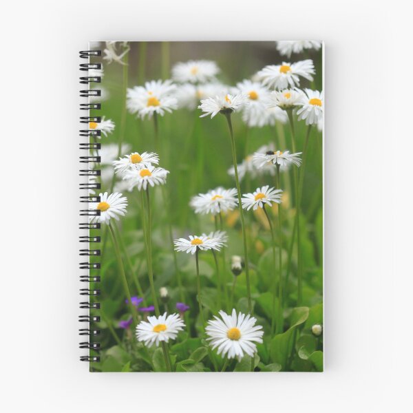 Item preview, White chamomiles in summer garden designed and sold by olena2552.