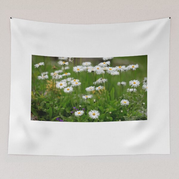 Item preview, White chamomiles in summer garden designed and sold by olena2552.