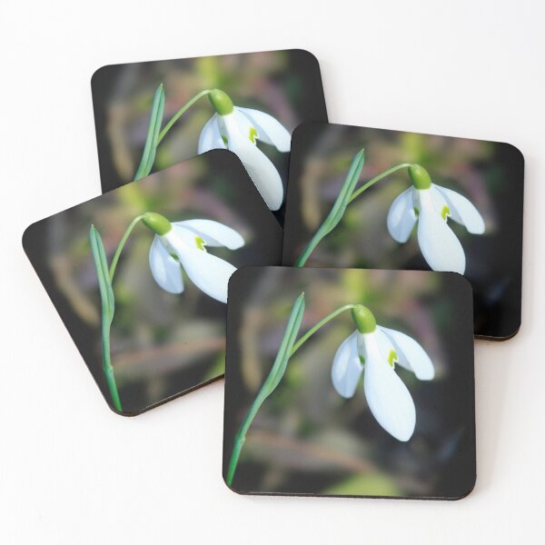 Item preview, White snowdrop in spring garden designed and sold by olena2552.
