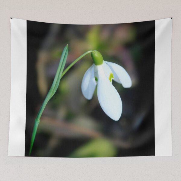 Item preview, White snowdrop in spring garden designed and sold by olena2552.