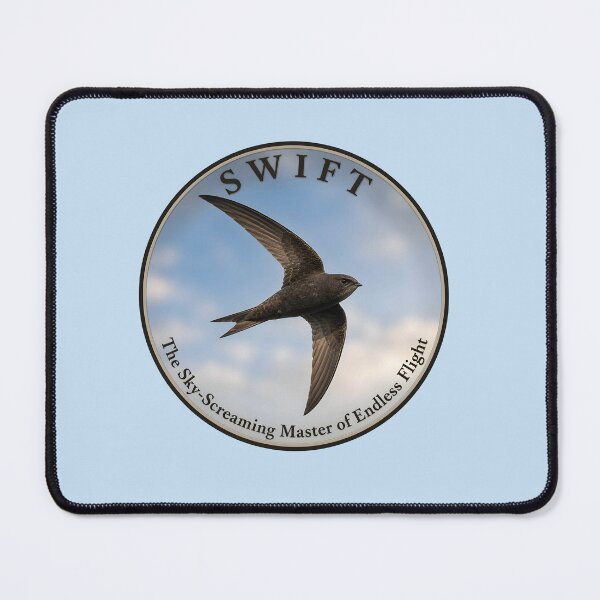 Item preview, SWIFT   -- The Sky‑Screaming Master of Endless Flight designed and sold by The Digital Compass.