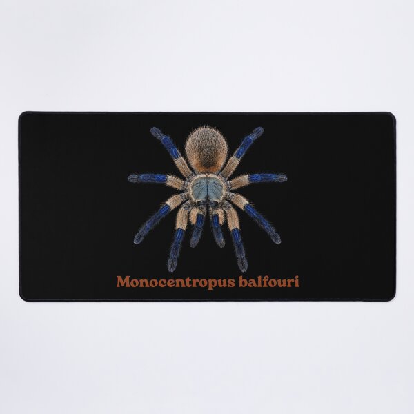 Item preview, Monocentrpus balfuri SP-018 designed and sold by Exotic-Atlas.