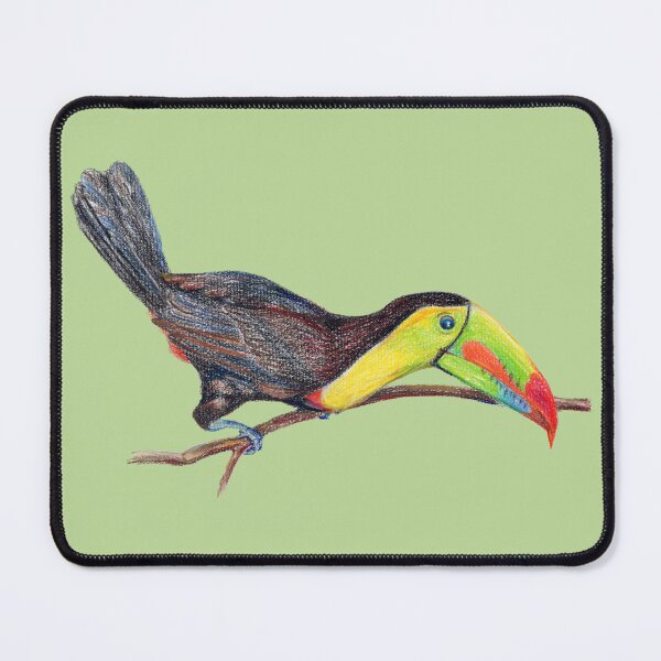 Item preview, Curious Keel Billed Toucan Color Pencils designed and sold by Dina's Fine Arts.