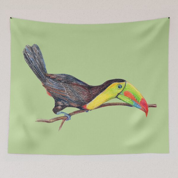 Item preview, Curious Keel-Billed Toucan - Color Pencils Bird Illustration designed and sold by Dina's Fine Arts.