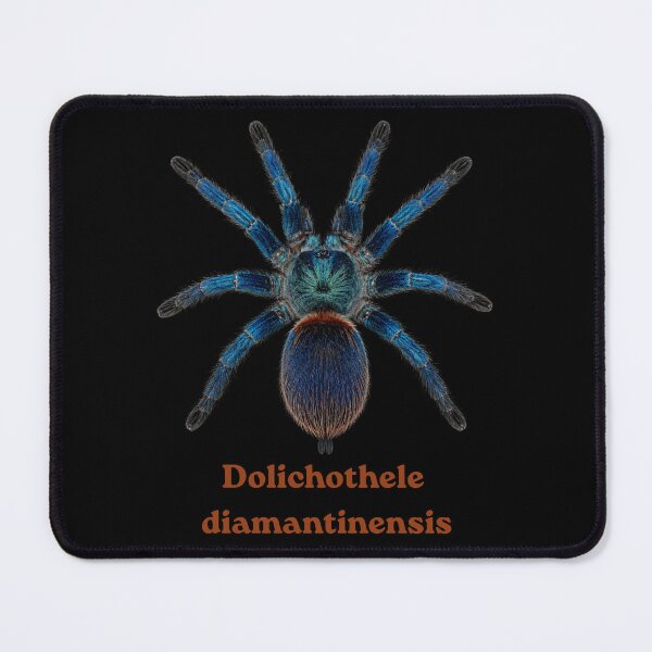 Item preview, Dolichithele diamantinensis SP-019 designed and sold by Exotic-Atlas.