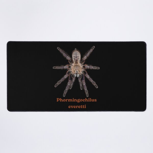Item preview, Phormingochilus everetti SP-020 designed and sold by Exotic-Atlas.