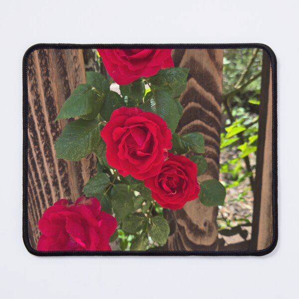 Item preview, Roses by ElitebyElise designed and sold by ExceptionallyHumbleArtbyElise (Once known as ElitebyElise).