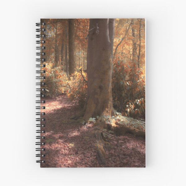 Item preview, Magic In The Forest designed and sold by Christine Lake.