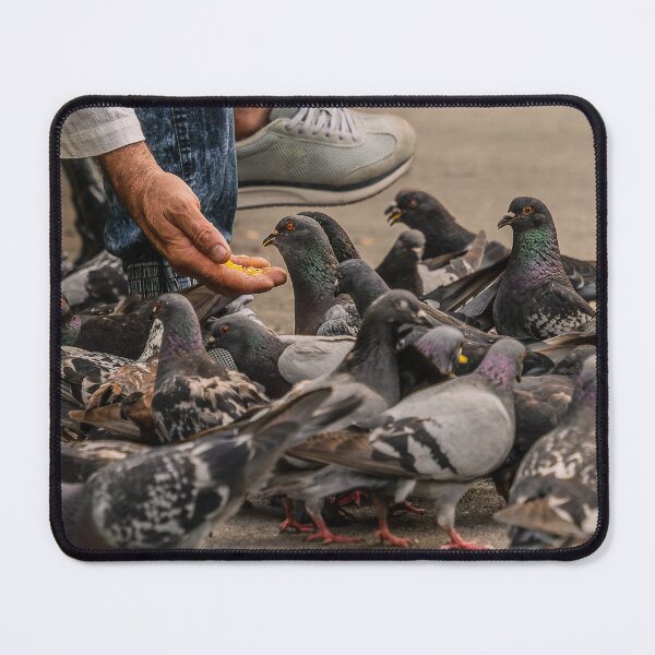 Item preview, Feeding the Pigeons designed and sold by Rabee Khalil Photography.