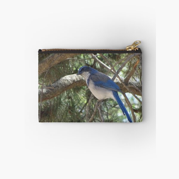Item preview, BlueJay in a tree designed and sold by JBCBlank.