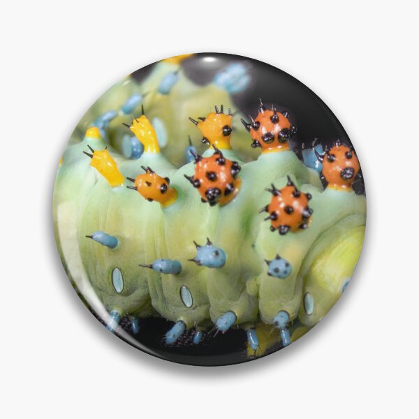 Item preview, Cecropia Larva designed and sold by mark-bugs-org.