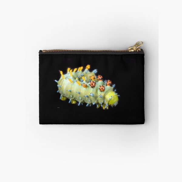 Item preview, Cecropia Larva designed and sold by mark-bugs-org.